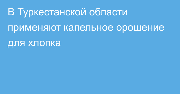 В Туркестанской области применяют капельное орошение для хлопка