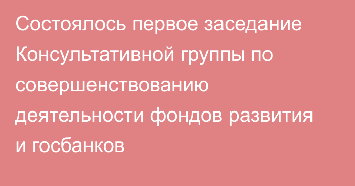 Состоялось первое заседание Консультативной группы по совершенствованию деятельности фондов развития и госбанков