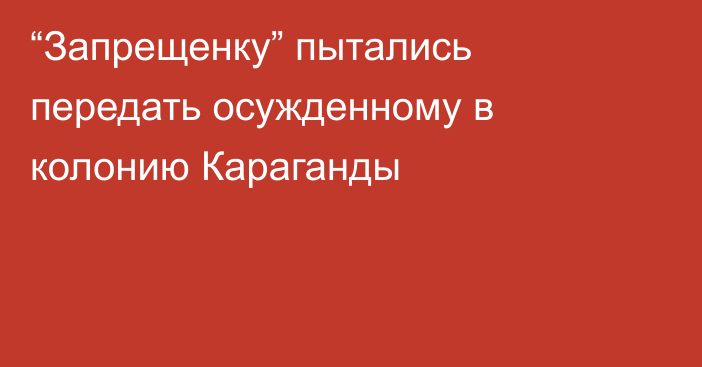 “Запрещенку” пытались передать осужденному в колонию Караганды