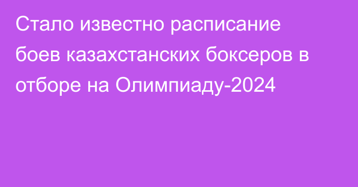 Стало известно расписание боев казахстанских боксеров в отборе на Олимпиаду-2024