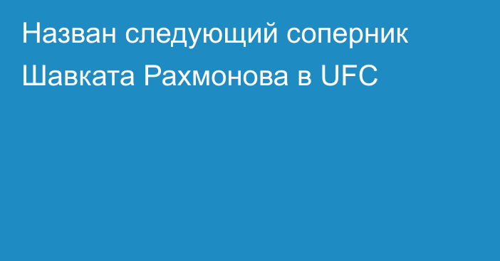 Назван следующий соперник Шавката Рахмонова в UFC