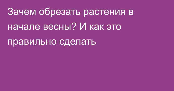 Зачем обрезать растения в начале весны? И как это правильно сделать