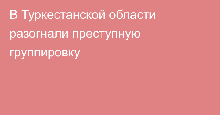 В Туркестанской области разогнали преступную группировку