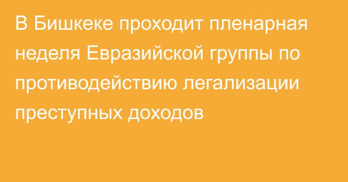 В Бишкеке проходит пленарная неделя Евразийской группы по противодействию легализации преступных доходов