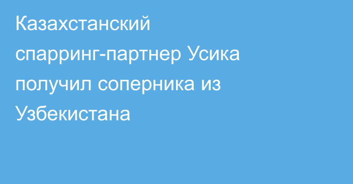 Казахстанский спарринг-партнер Усика получил соперника из Узбекистана