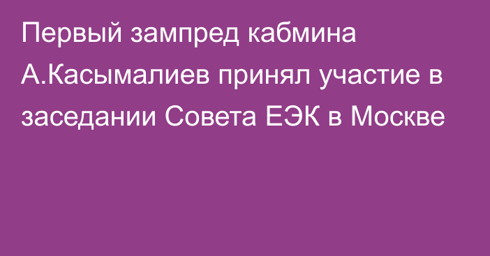 Первый зампред кабмина А.Касымалиев принял участие в заседании Совета ЕЭК в Москве