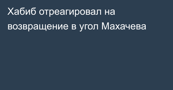 Хабиб отреагировал на возвращение в угол Махачева