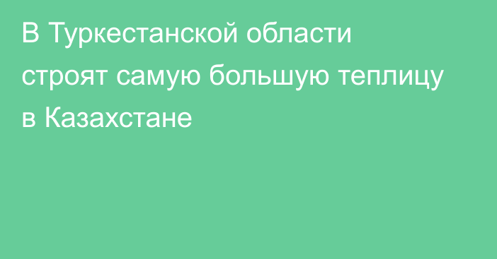 В Туркестанской области строят самую большую теплицу в Казахстане