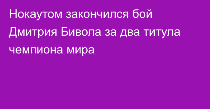 Нокаутом закончился бой Дмитрия Бивола за два титула чемпиона мира