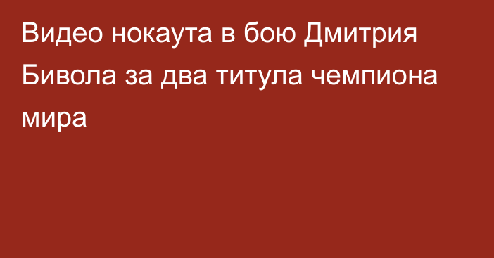 Видео нокаута в бою Дмитрия Бивола за два титула чемпиона мира