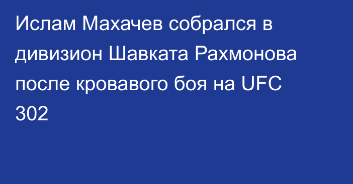 Ислам Махачев собрался в дивизион Шавката Рахмонова после кровавого боя на UFC 302