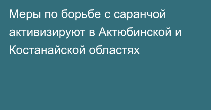 Меры по борьбе с саранчой активизируют в Актюбинской и Костанайской областях