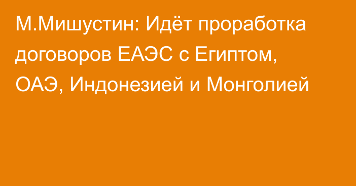 М.Мишустин: Идёт проработка договоров ЕАЭС с Египтом, ОАЭ, Индонезией и Монголией