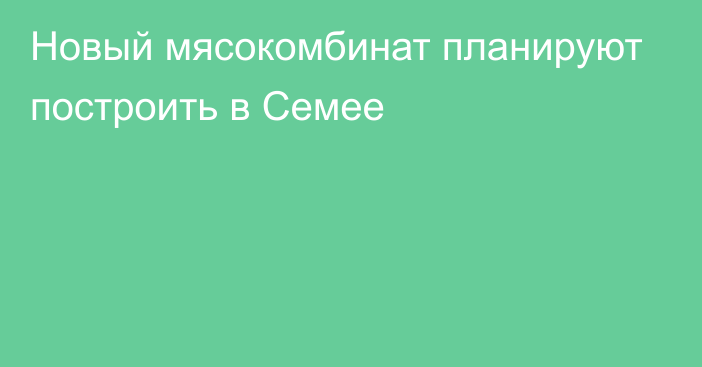 Новый мясокомбинат планируют построить в Семее