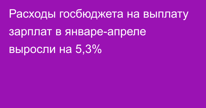 Расходы госбюджета на выплату зарплат в январе-апреле выросли на 5,3%