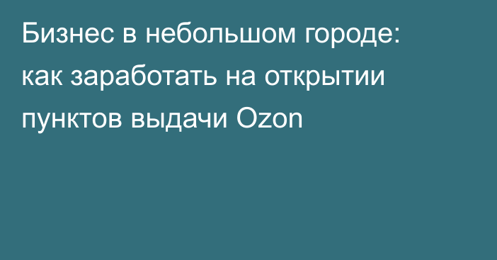 Бизнес в небольшом городе: как заработать на открытии пунктов выдачи Ozon