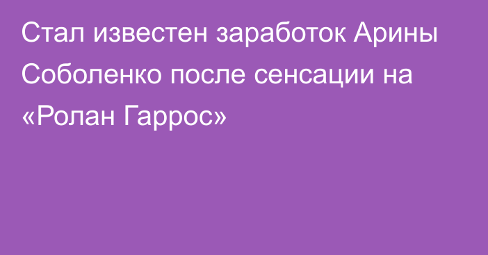 Стал известен заработок Арины Соболенко после сенсации на «Ролан Гаррос»