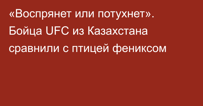 «Воспрянет или потухнет». Бойца UFC из Казахстана сравнили с птицей фениксом