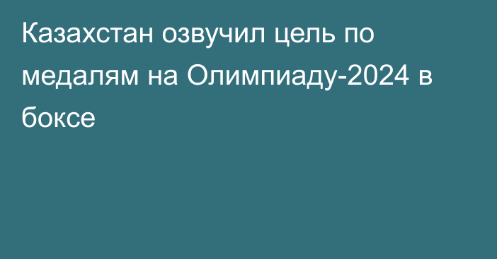 Казахстан озвучил цель по медалям на Олимпиаду-2024 в боксе