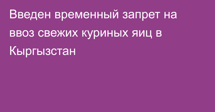 Введен временный запрет на ввоз свежих  куриных яиц в Кыргызстан