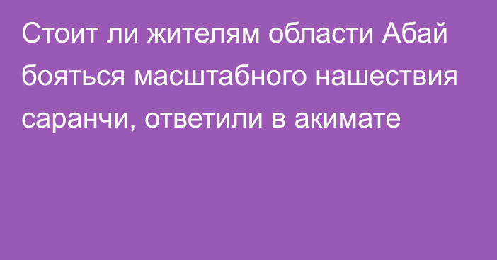 Стоит ли жителям области Абай бояться масштабного нашествия саранчи, ответили в акимате