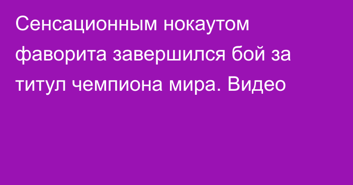 Сенсационным нокаутом фаворита завершился бой за титул чемпиона мира. Видео