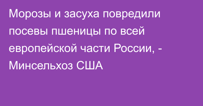 Морозы и засуха повредили посевы пшеницы по всей европейской части России, - Минсельхоз США