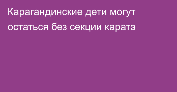 Карагандинские дети могут остаться без секции каратэ