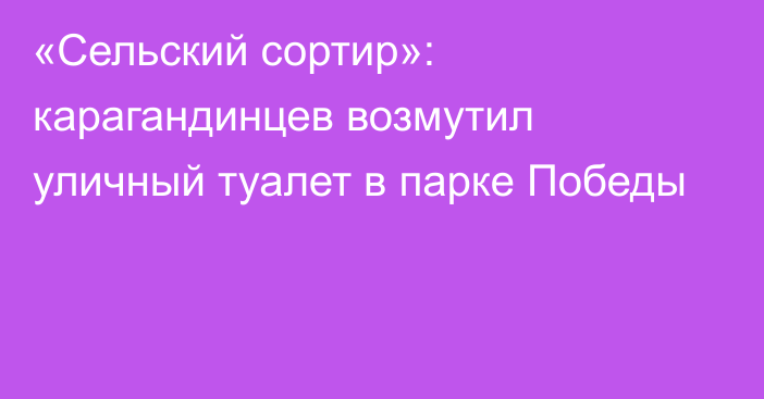 «Сельский сортир»: карагандинцев возмутил уличный туалет в парке Победы