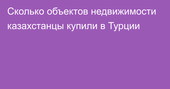 Сколько объектов недвижимости казахстанцы купили в Турции