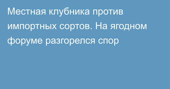 Местная клубника против импортных сортов. На ягодном форуме разгорелся спор