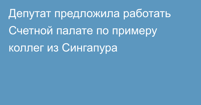 Депутат предложила работать Счетной палате по примеру коллег из Сингапура