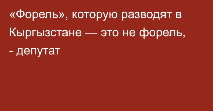 «Форель», которую разводят в Кыргызстане — это не форель, - депутат