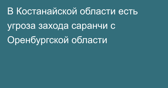 В Костанайской области есть угроза захода саранчи с Оренбургской области