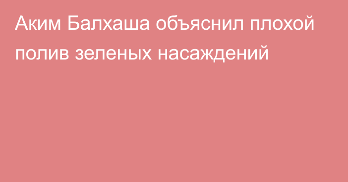 Аким Балхаша объяснил плохой полив зеленых насаждений