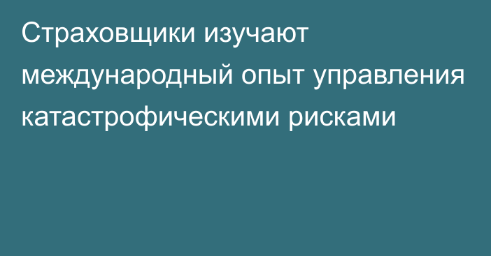 Страховщики изучают международный опыт управления катастрофическими рисками