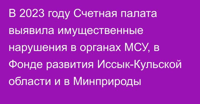 В 2023 году Счетная палата выявила имущественные нарушения в органах МСУ, в Фонде развития Иссык-Кульской области и в Минприроды