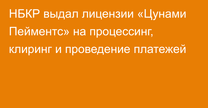 НБКР выдал лицензии «Цунами Пейментс» на процессинг, клиринг и проведение платежей