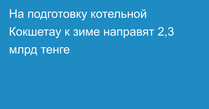 На подготовку котельной Кокшетау к зиме направят 2,3 млрд тенге