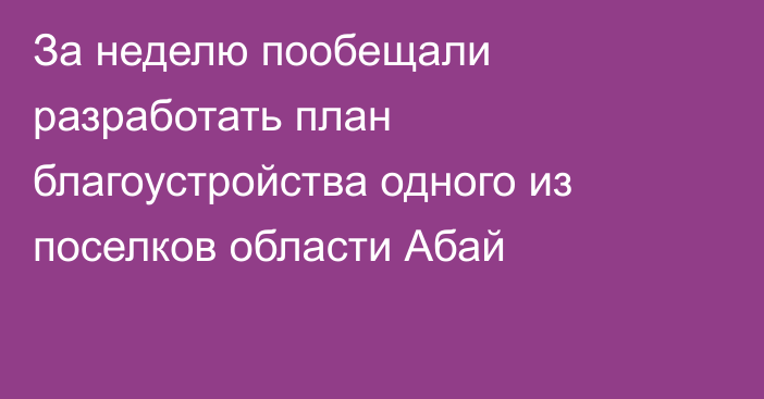 За неделю пообещали разработать план благоустройства одного из поселков области Абай