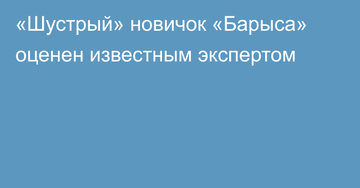 «Шустрый» новичок «Барыса» оценен известным экспертом