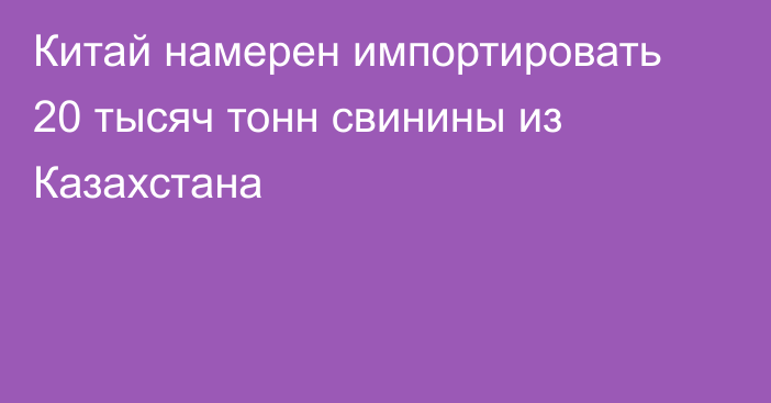 Китай намерен импортировать 20 тысяч тонн свинины из Казахстана