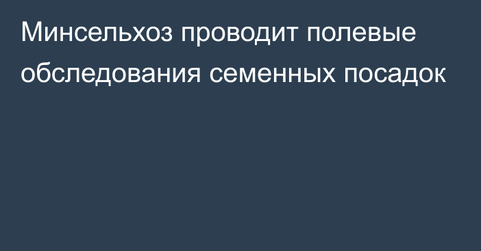 Минсельхоз проводит полевые обследования семенных посадок