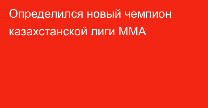 Определился новый чемпион казахстанской лиги ММА