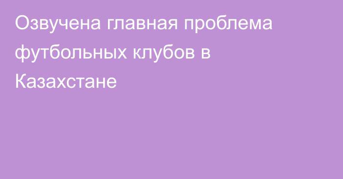 Озвучена главная проблема футбольных клубов в Казахстане