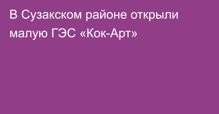 В Сузакском районе открыли малую ГЭС «Кок-Арт»