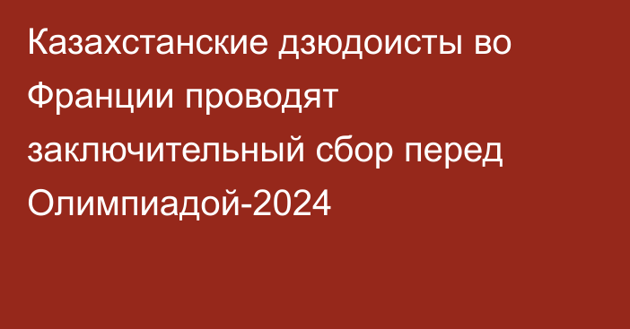 Казахстанские дзюдоисты во Франции проводят заключительный сбор перед Олимпиадой-2024