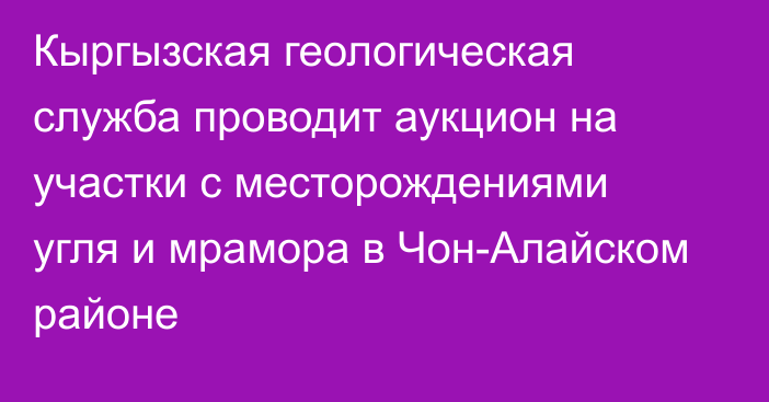 Кыргызская геологическая служба проводит аукцион на участки с месторождениями угля и мрамора в Чон-Алайском районе