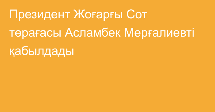 Президент Жоғарғы Сот төрағасы Асламбек Мерғалиевті қабылдады