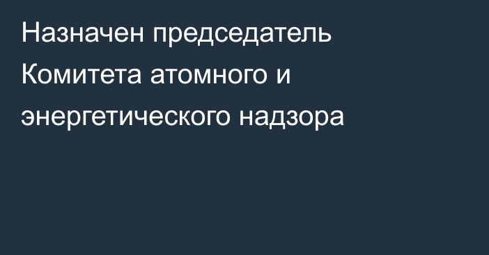 Назначен председатель Комитета атомного и энергетического надзора